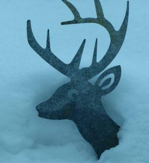 اتاق استاندارد یک تخته با بالکن, Pension Und Apartments Landhaus Marie