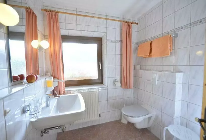 バルコニー付きスタンダードステューディオ, Pension Und Apartments Landhaus Marie