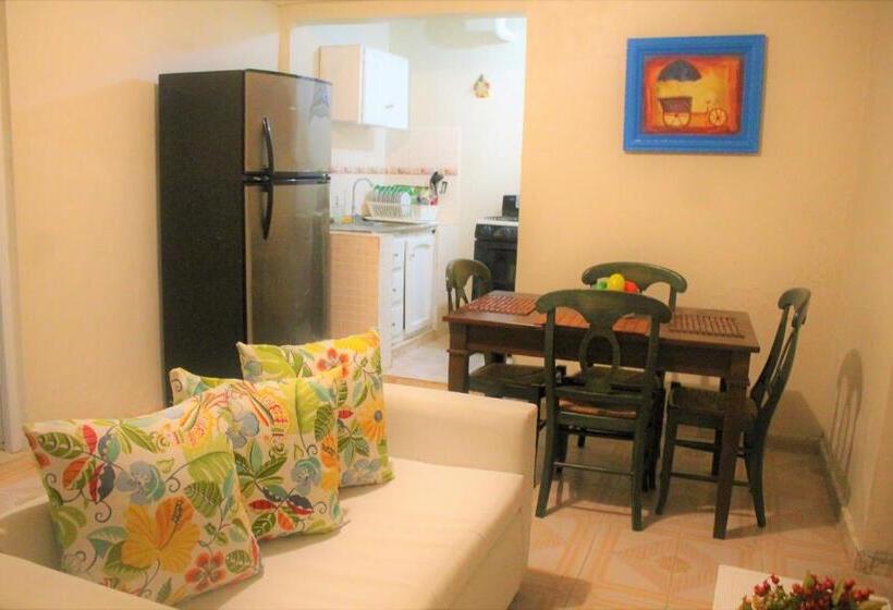 آپارتمان 1 خوابه همکف, Complejo Villa Las Palmeras Piscina, Billar, Jardín, Bbq @drvacationsrental