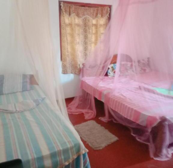 四人标准间, Sandaru Wave Surfing