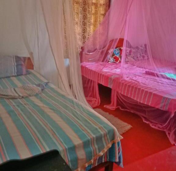 四人标准间, Sandaru Wave Surfing