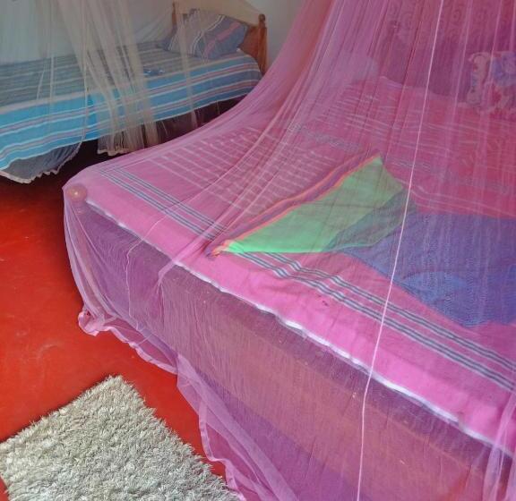 四人标准间, Sandaru Wave Surfing