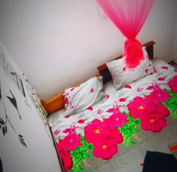 标准间, Sandaru Wave Surfing