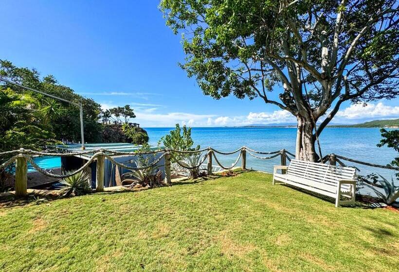 ویلای 1 خوابه, Unforgettable Villa