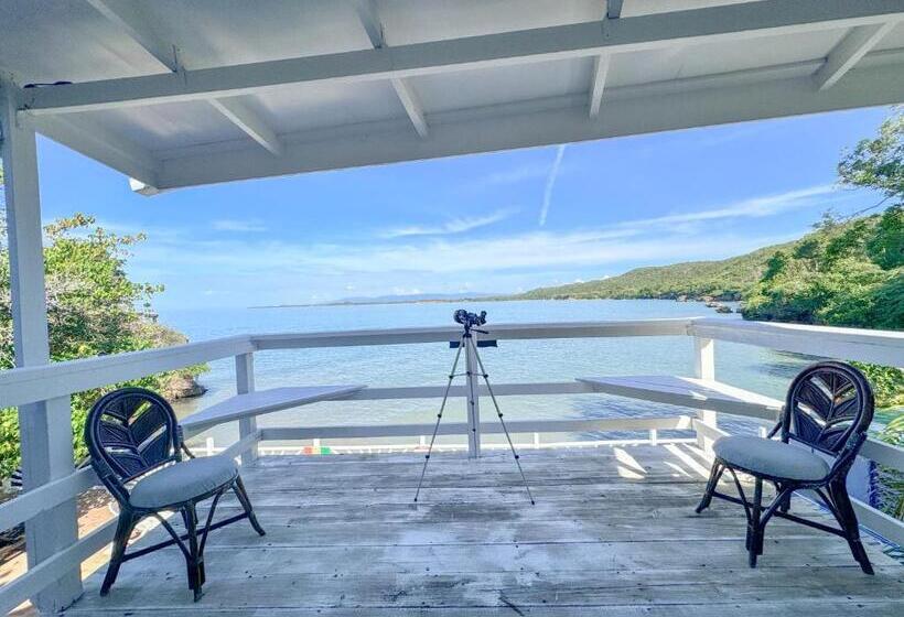 ویلای 1 خوابه, Unforgettable Villa