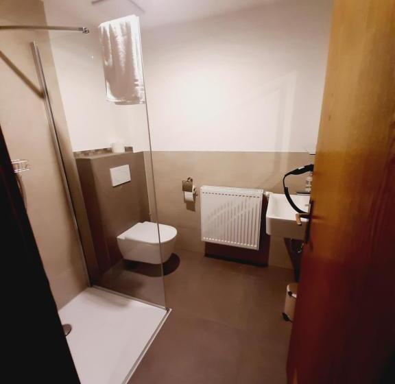 Номер Стандарт, Pension Dorfengel