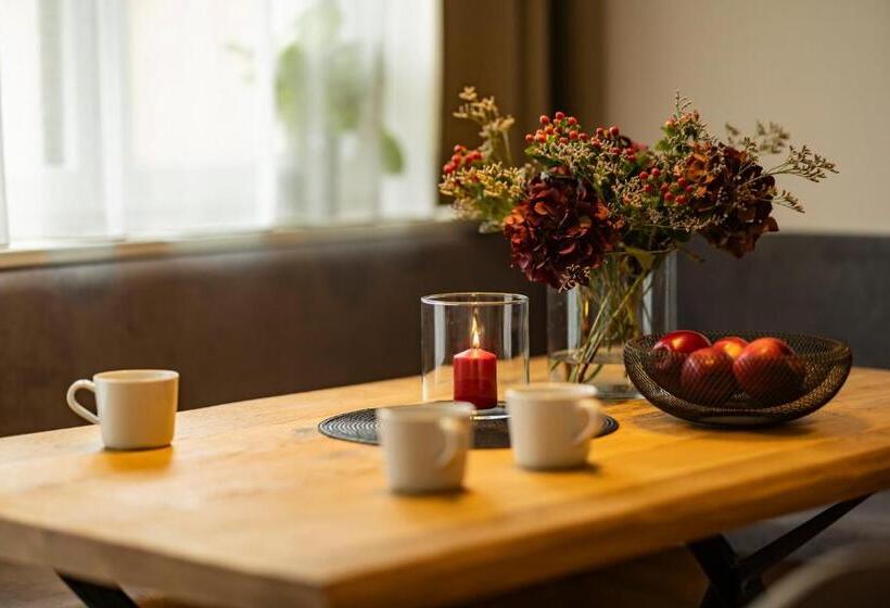 آپارتمان 1 خوابه, Riverside Rauris Apartments