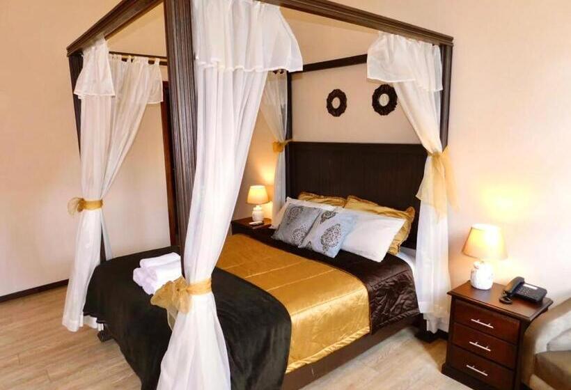 スタンダードルーム, En El Centro Historico