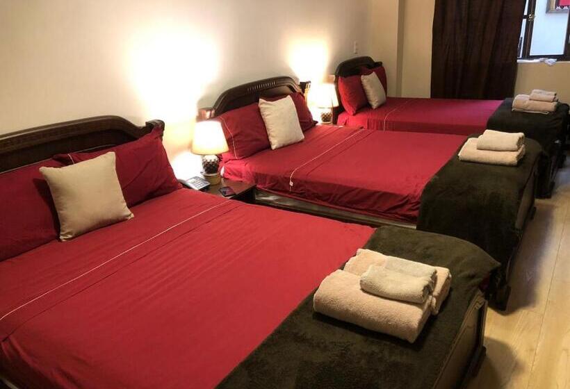 スタンダードルーム, En El Centro Historico