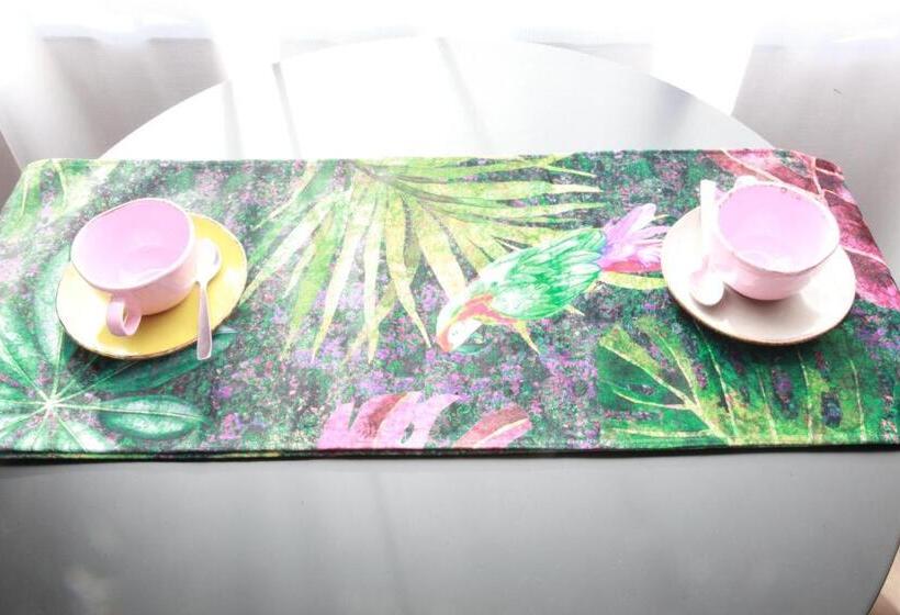 스탠다드 스튜디오, Suites Moma Centro