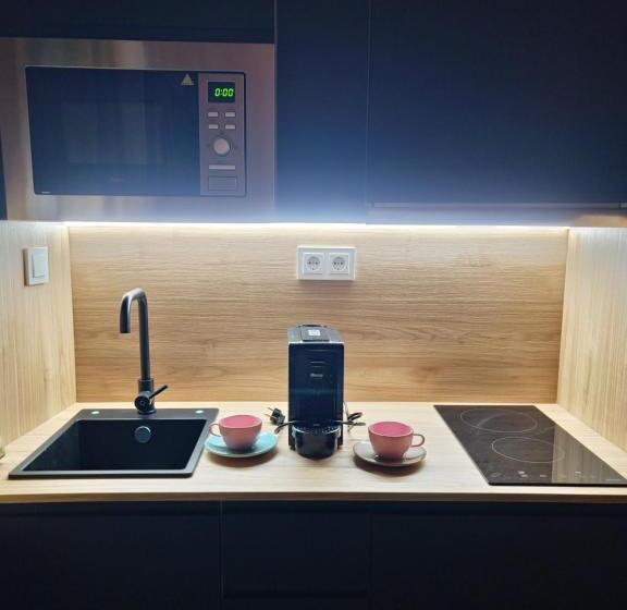 디럭스 스튜디오, Suites Moma Centro