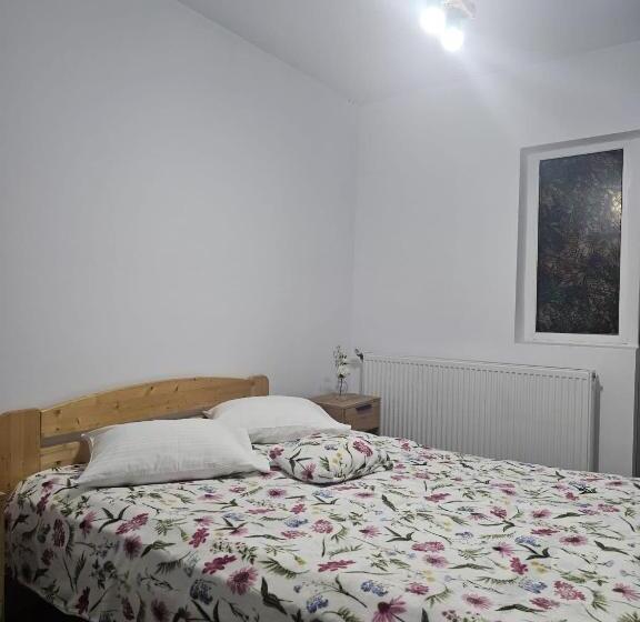 חדר סטנדרט, Pensiunea Alexia