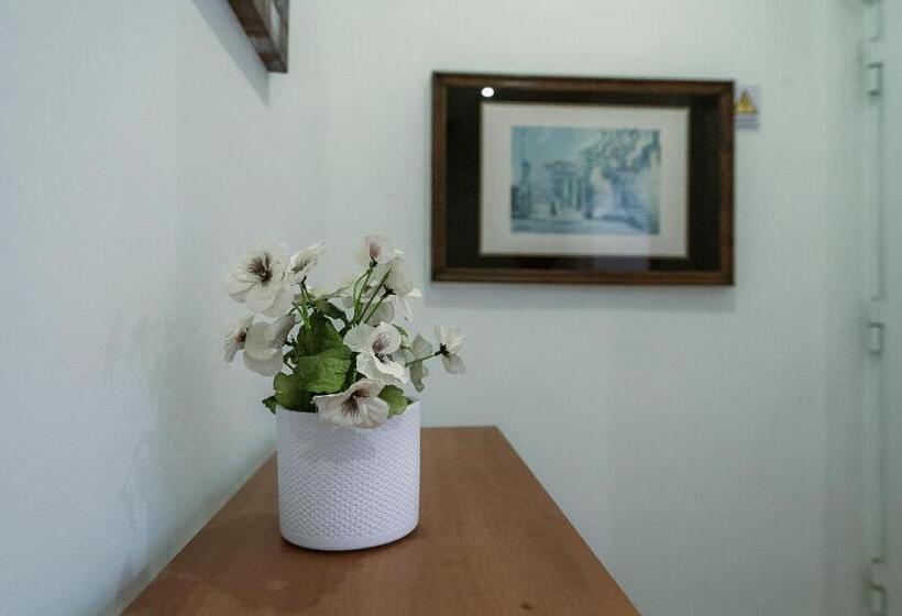 اتاق استاندارد, Douro Garden & Rooftop Authentic Portuguese Guesthouse