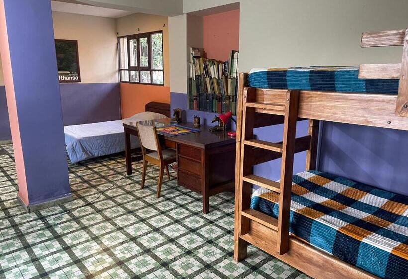 تختخواب در اتاق مشترک, El Pueblito