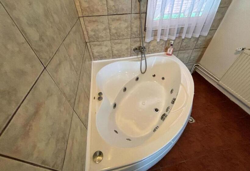 Номер Deluxe, Bucharest West Motel