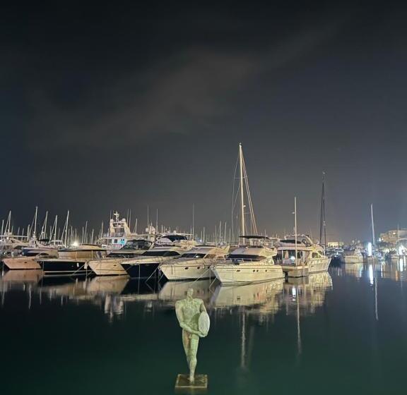 스탠다드 스튜디오, Estudio Dreams Alicante