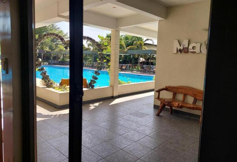 سوییت, Maclare Resort