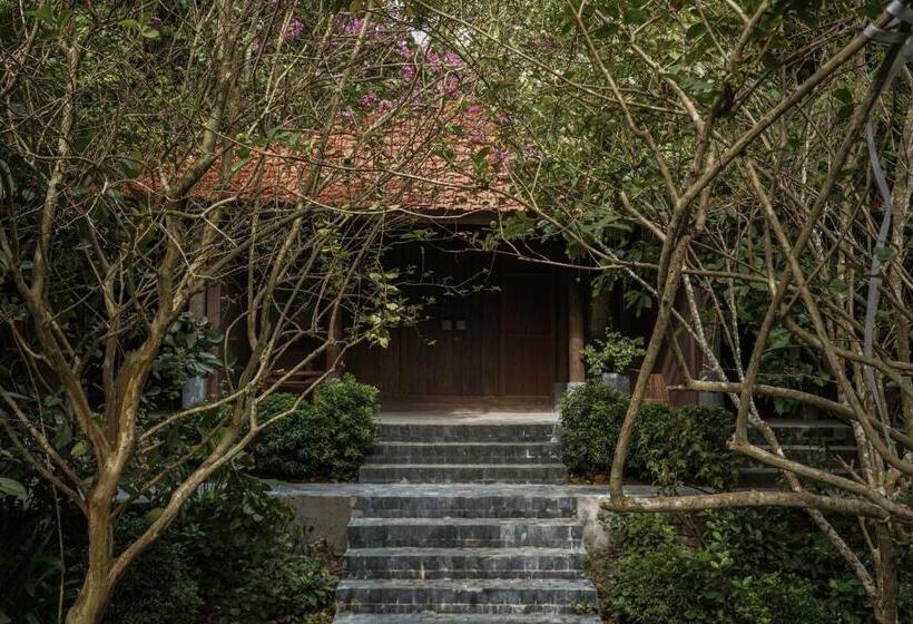 اتاق سوپریور با تخت بزرگ, Toki Retreat Vân Long