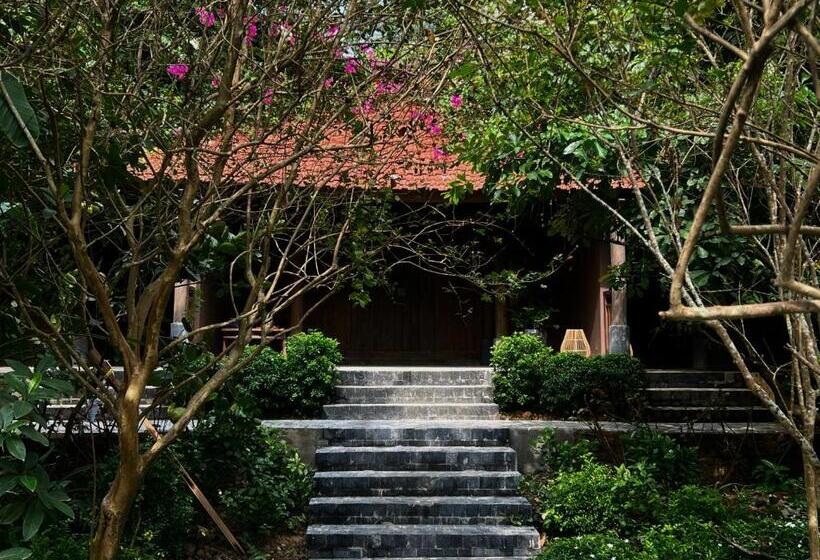 اتاق سوپریور با تخت بزرگ, Toki Retreat Vân Long