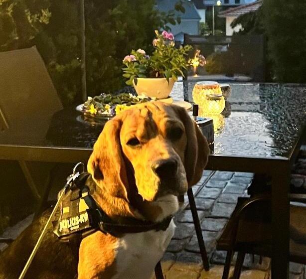 带1个卧室的公寓, Lugnt Och Centralt Läge