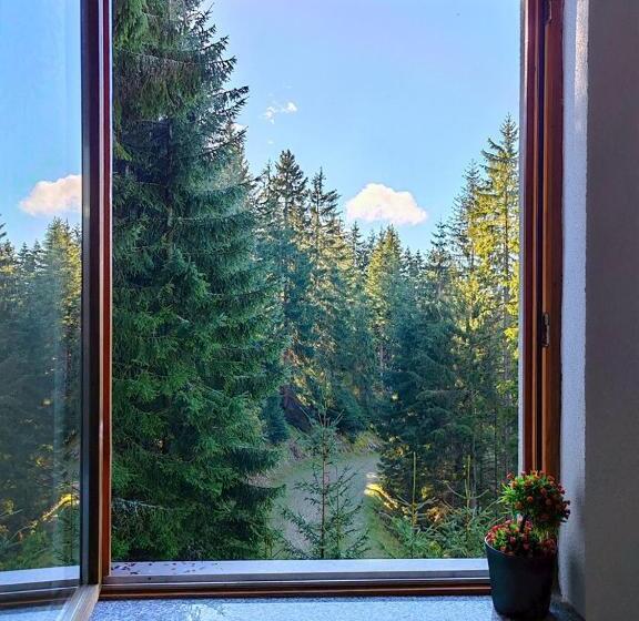 آپارتمان 1 خوابه با تراس, Apartments Planinski Raj