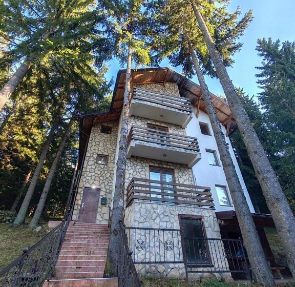 آپارتمان 1 خوابه با بالکن, Apartments Planinski Raj