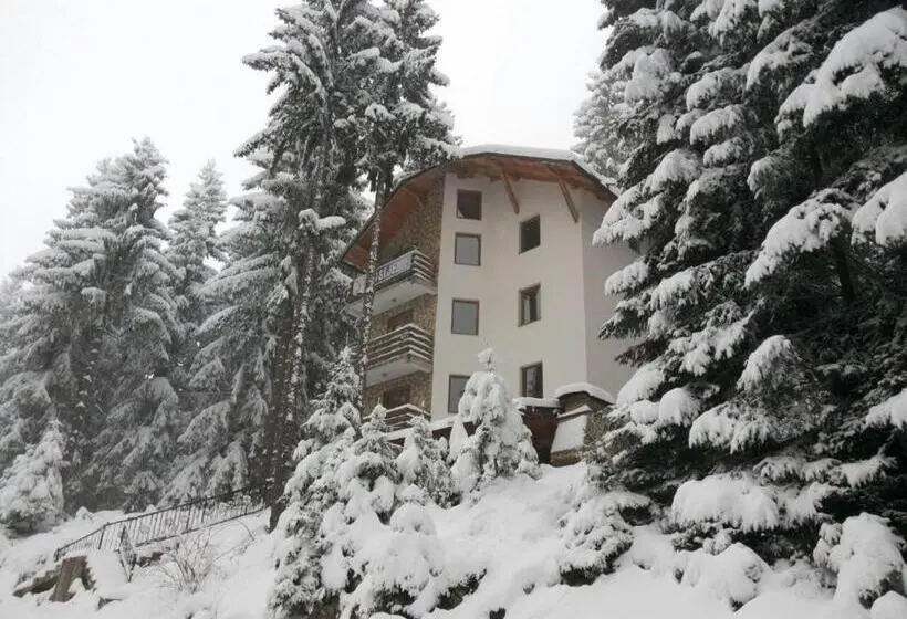 آپارتمان 1 خوابه با بالکن, Apartments Planinski Raj