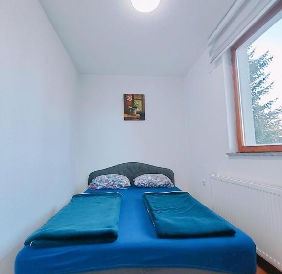 آپارتمان 1 خوابه با تراس, Apartments Planinski Raj