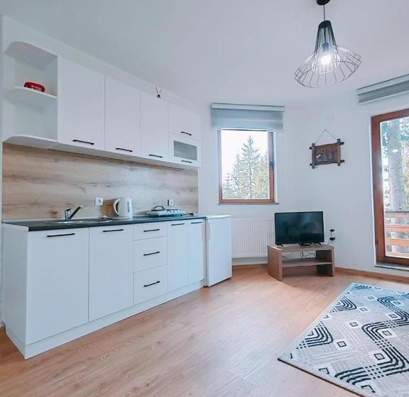 آپارتمان 1 خوابه با تراس, Apartments Planinski Raj