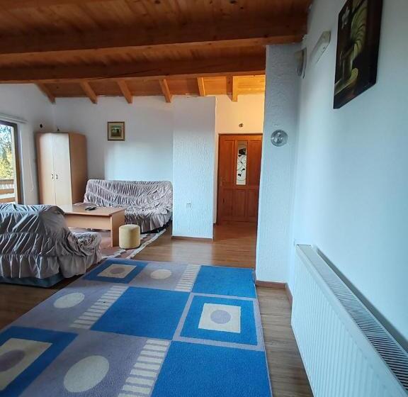 آپارتمان 1 خوابه با بالکن, Apartments Planinski Raj