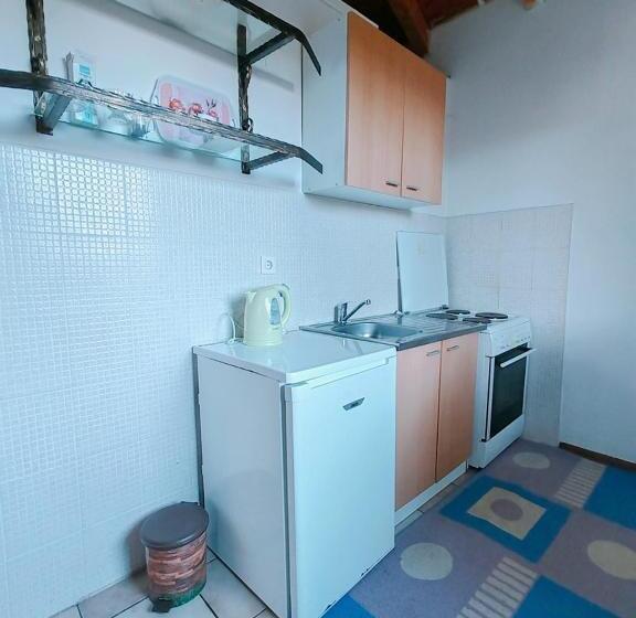 آپارتمان 1 خوابه با بالکن, Apartments Planinski Raj