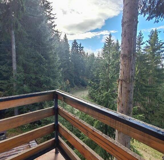 آپارتمان 1 خوابه با بالکن, Apartments Planinski Raj