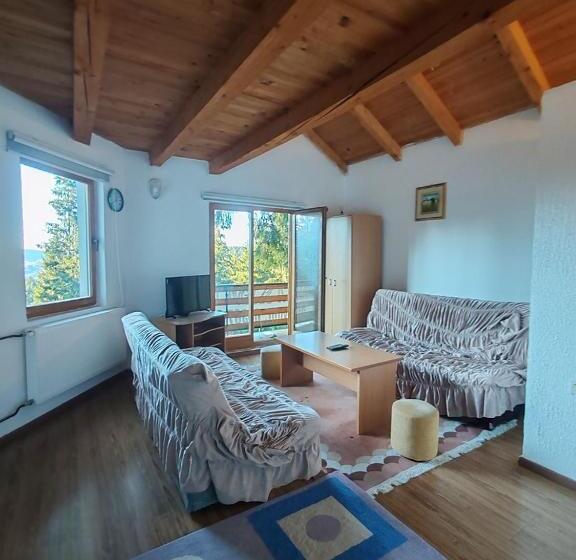 آپارتمان 1 خوابه با بالکن, Apartments Planinski Raj