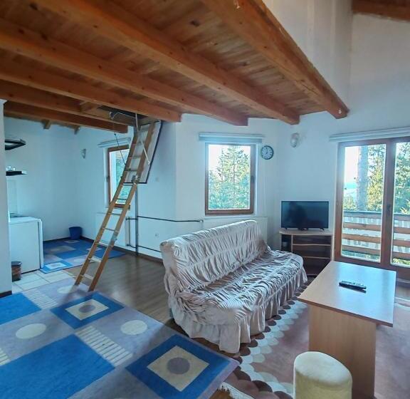 آپارتمان 1 خوابه با بالکن, Apartments Planinski Raj