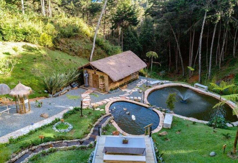 标准单人间, Zen Medellin Maya