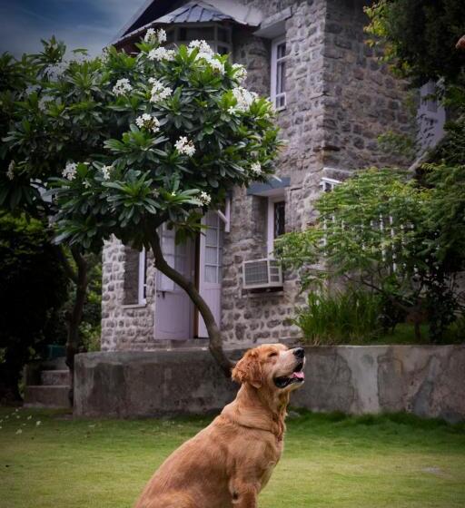 Люкс, House Of Hive, Gethiya