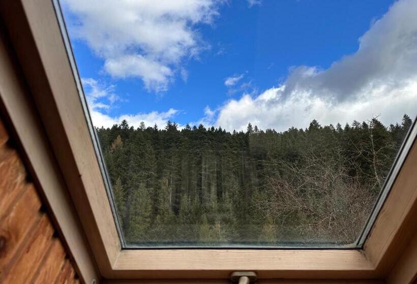 マウンテンビュースタンダードルーム, альтана