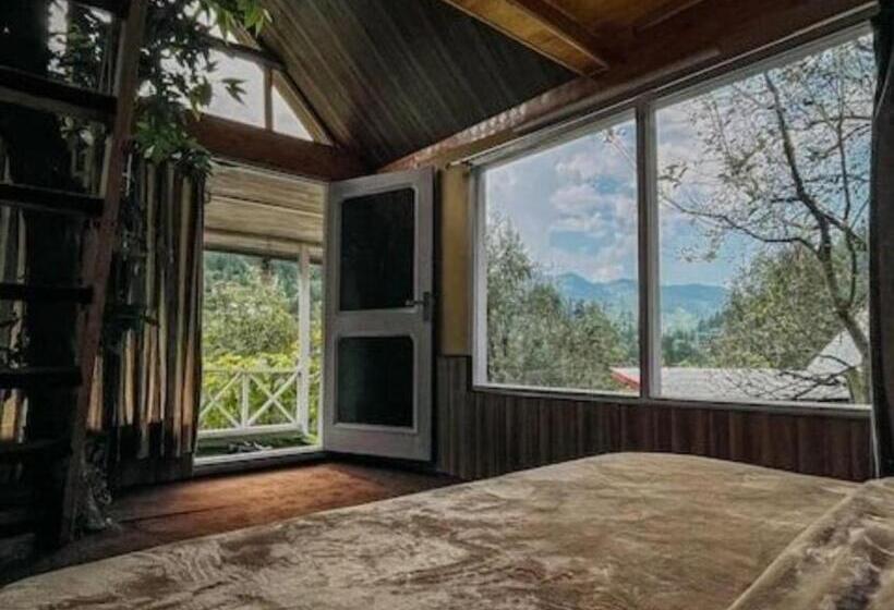 デラックスルーム, Thetreehousejibhi