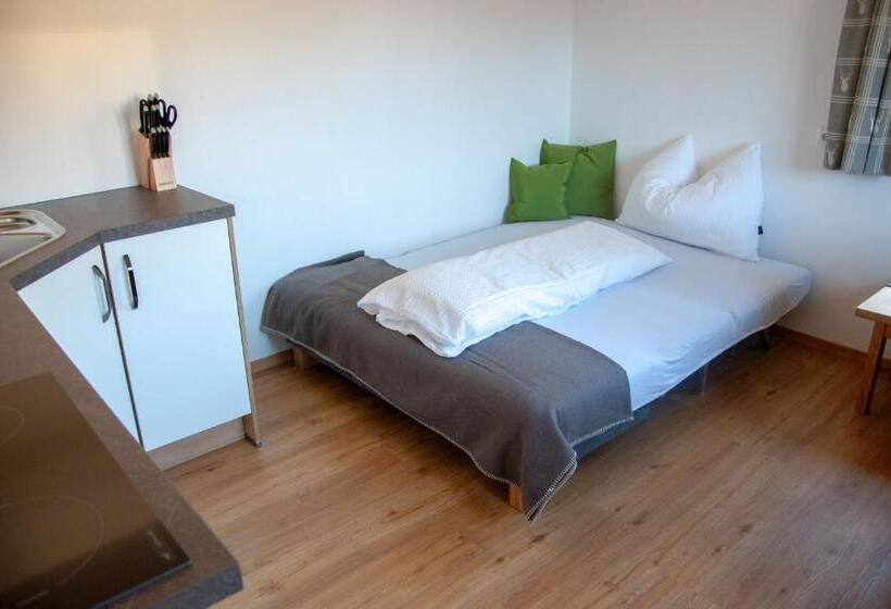 شقة غرفة واحدة, Ferienwohnung Kant