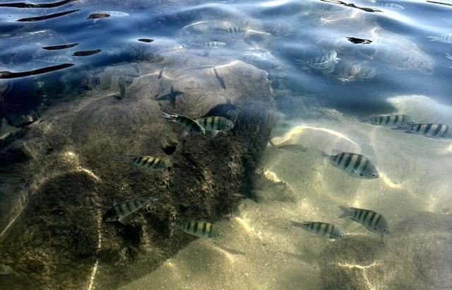 סוויטת דלוקס נוף לים, Santomar Guest House