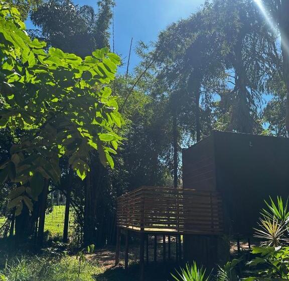 Delüks Stüdyo, Studios Em Contêiner No Bosque