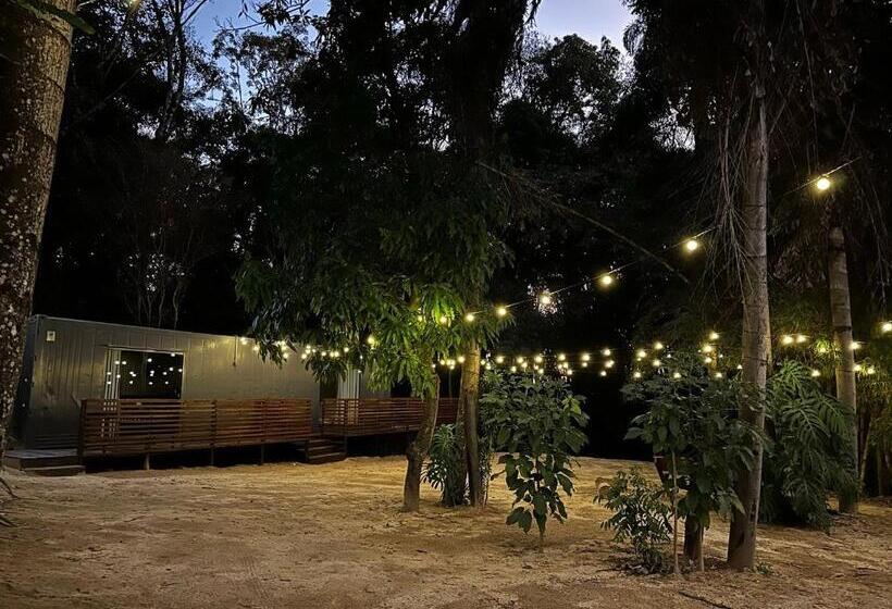 Delüks Stüdyo, Studios Em Contêiner No Bosque