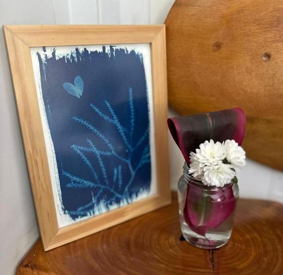 Superior Stüdyo, Studios Em Contêiner No Bosque