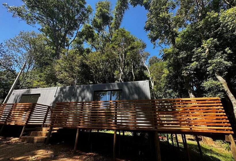 Superior Stüdyo, Studios Em Contêiner No Bosque