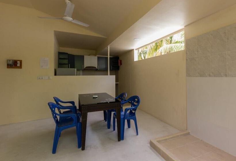 اتاق استاندارد, Surf Trip Maldives