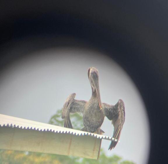 디럭스 테라스 룸 바다 전망, Ponci’s Gate To Gaia Holistic Center