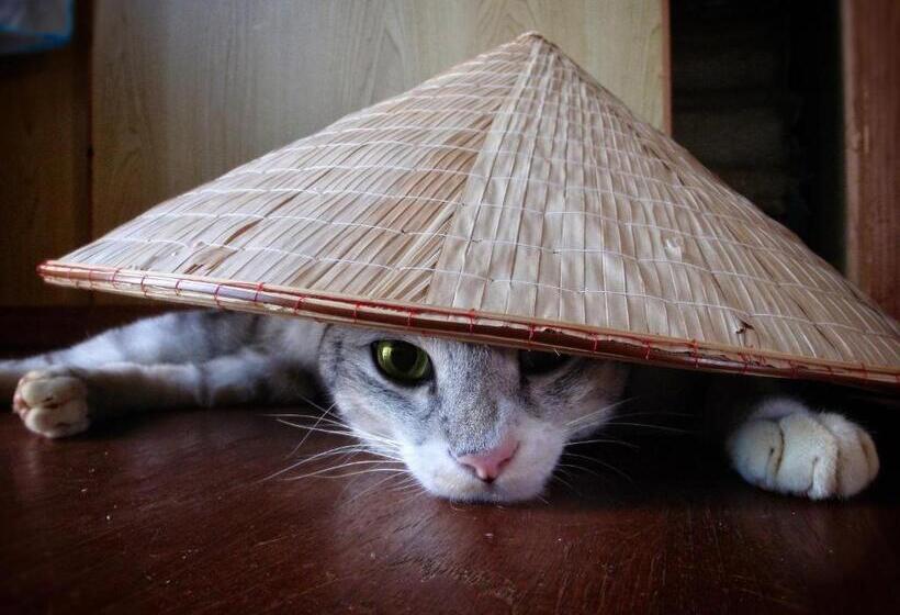 בית, חדר שינה 1, 435