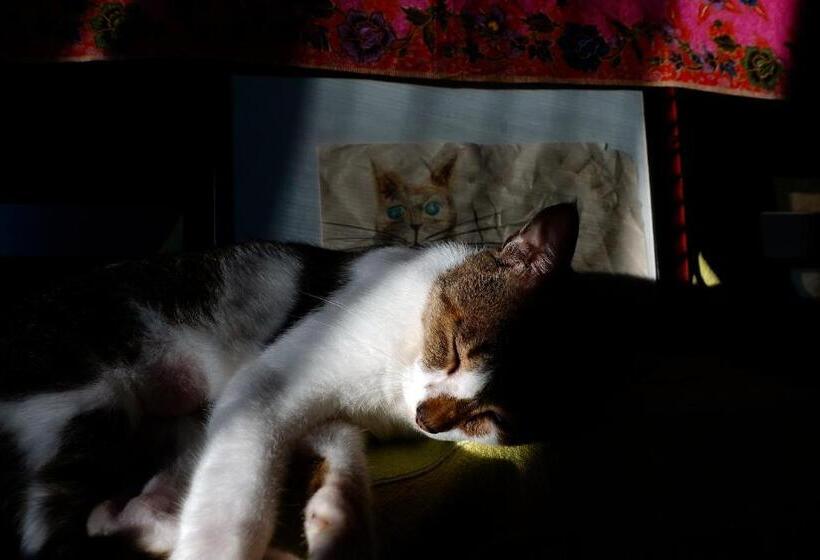 בית, חדר שינה 1, 435