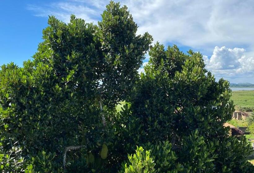 اتاق لوکس با بالکن و چشم‌انداز دریا, Nimaro Courts