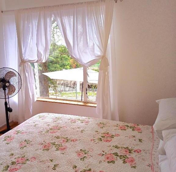 اتاق استاندارد با سرویس بهداشتی مشترک, @336 Bourke